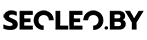 logoseoleo21